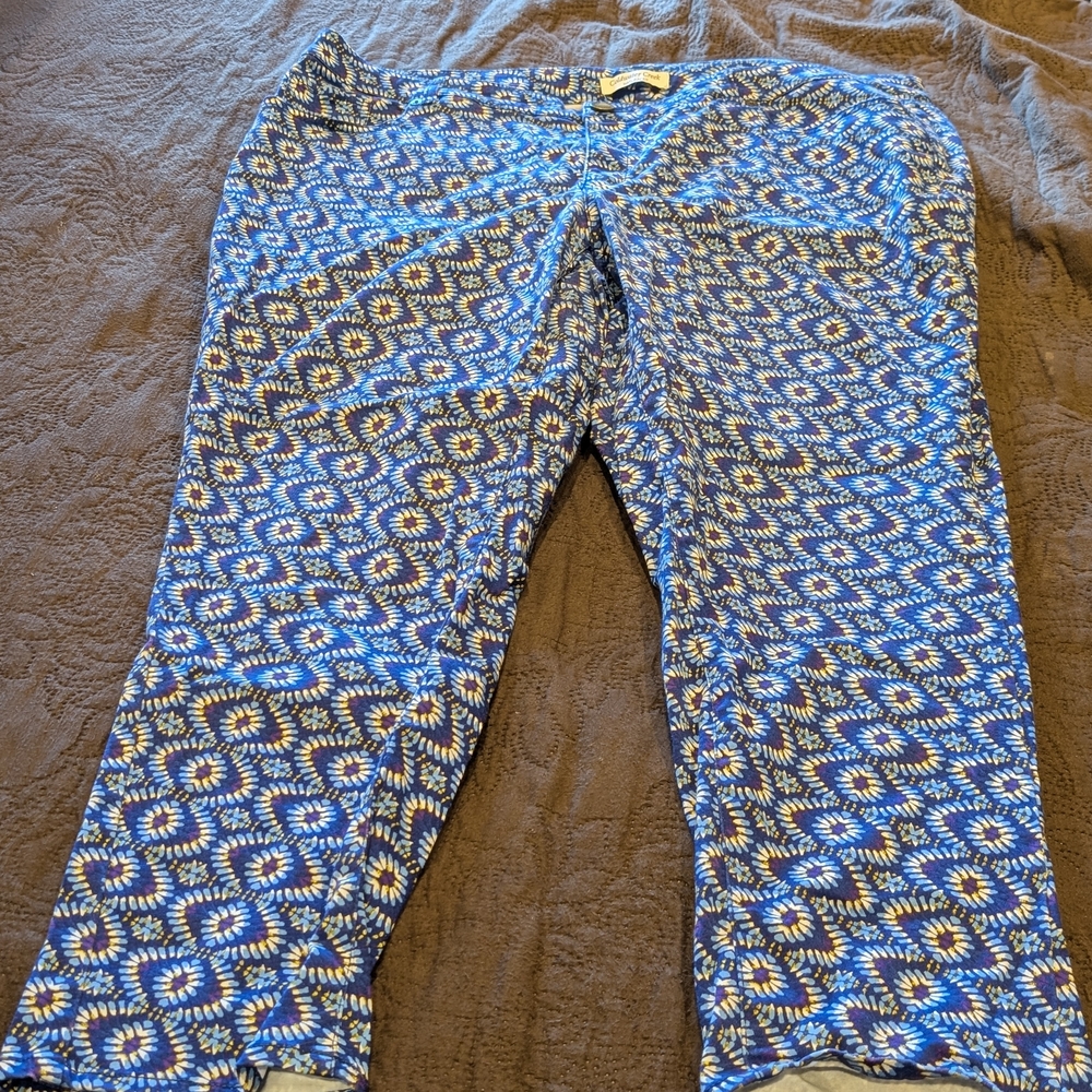 Coldwater Creek Blue Geometric Patterned Skinny Ankle Jeans Size 18